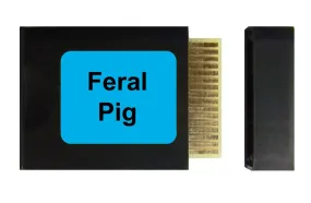 AJ Productions Sound Card - Feral Pig - Blue Label - Caller Not Included