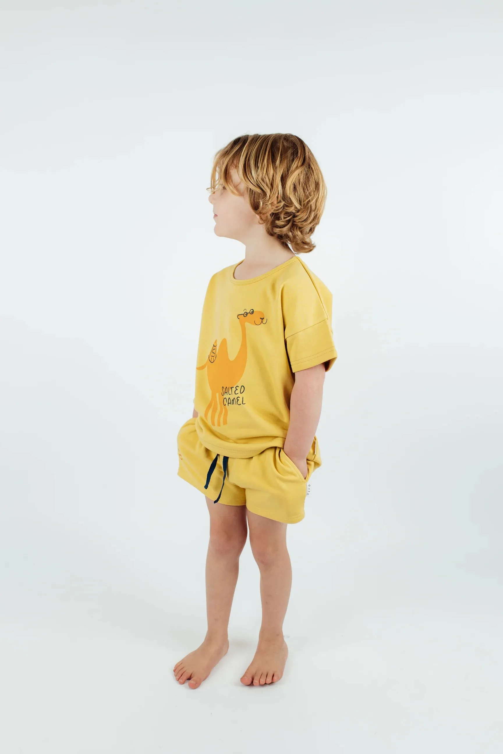 Golden Shorties