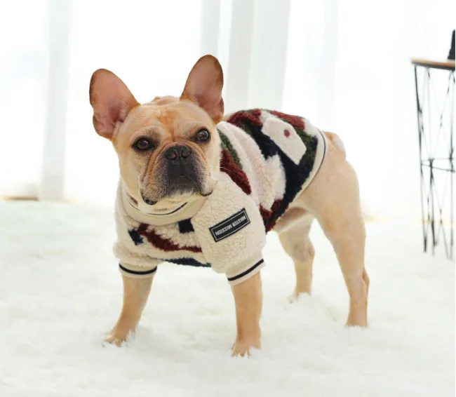 Pet / Dog / Cat  Varsity Style Camouflage Jacket