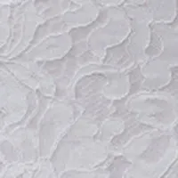 Plus Lace Tulle Midi Skirt