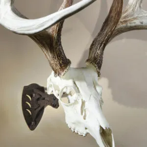 SKULL HOOKER LITTLE HOOKER SKULL MOUNT