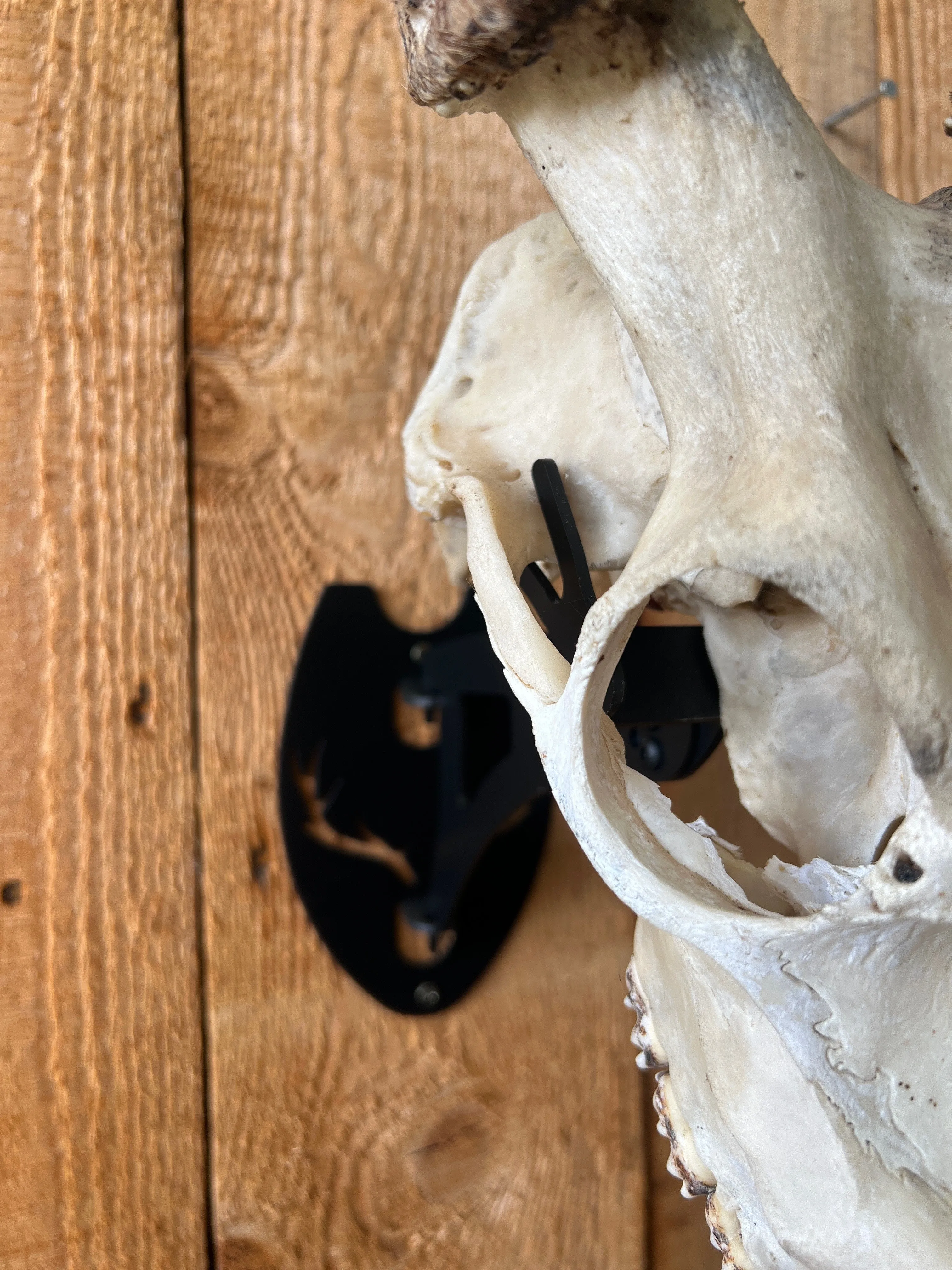 Skull Mount - Universal Long Arm 280mm