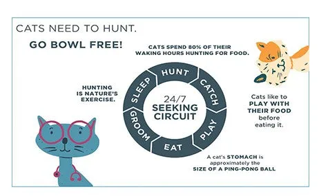 SPOT - The Indoor Hunting Feeder (3 pack)  Cat Toy